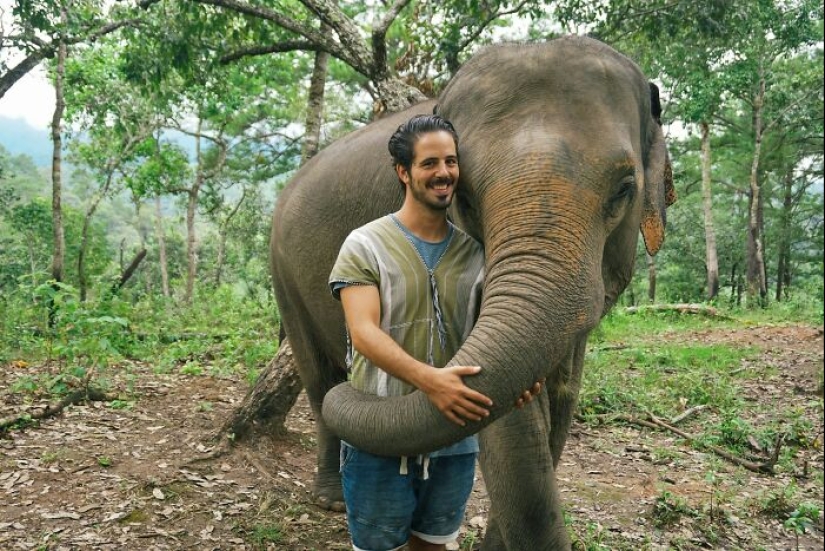 11 Cool And Interesting Facts People Learned About Animals