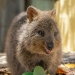 11 datos interesantes y curiosos que la gente aprendió sobre los animales 11 datos interesantes y curiosos que la gente aprendió sobre los animales