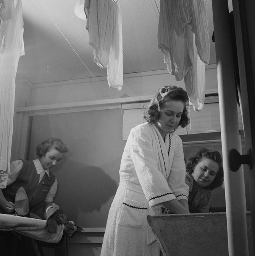 11 hectáreas de mujeres libres