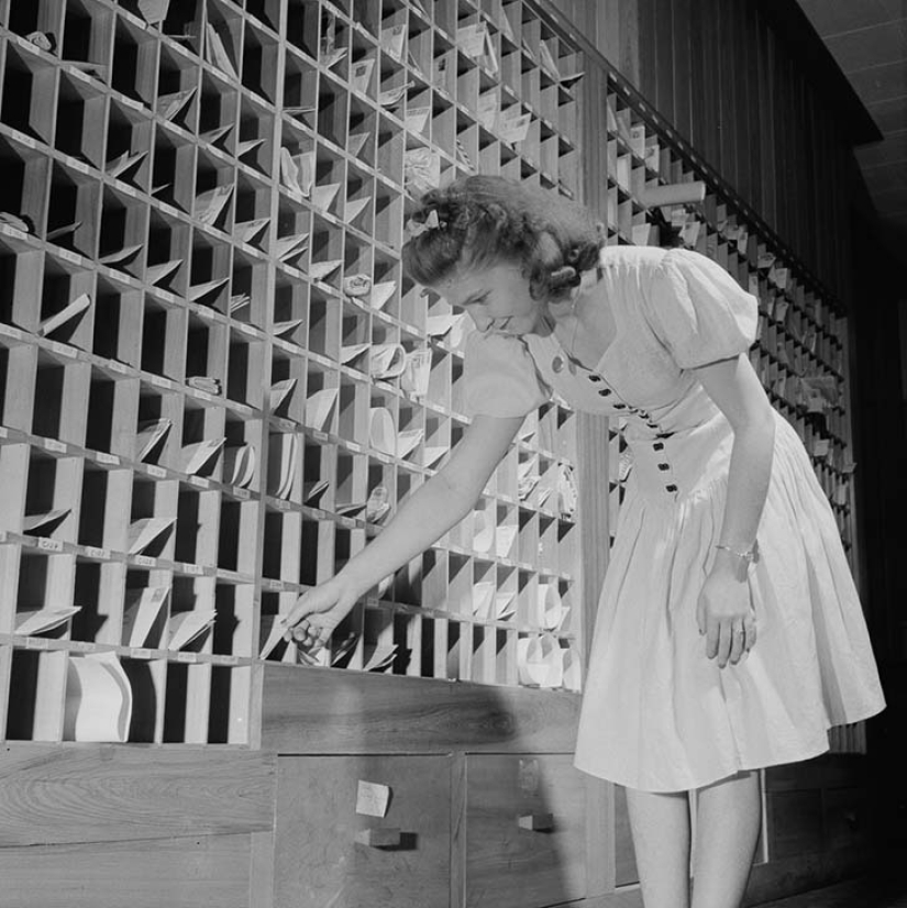 11 hectáreas de mujeres libres