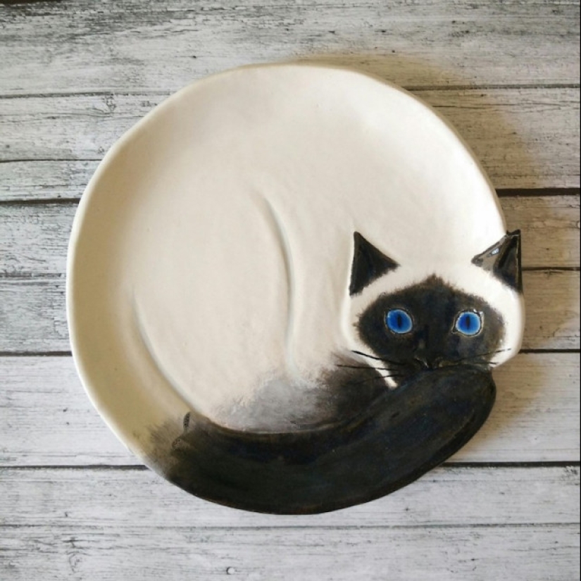12 beautiful decorative plates in the form of snugly curled cats