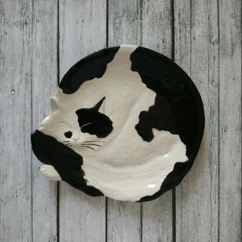 12 beautiful decorative plates in the form of snugly curled cats