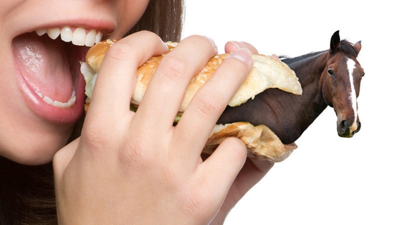 12 foods that are declared in the United States outside the law 12 foods that are declared in the United States outside the law