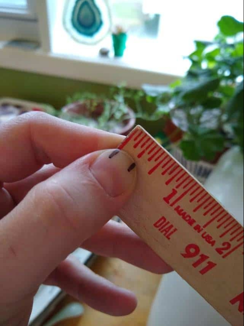 12 grandes hacks de la vida laboral que serán útiles en cualquier momento