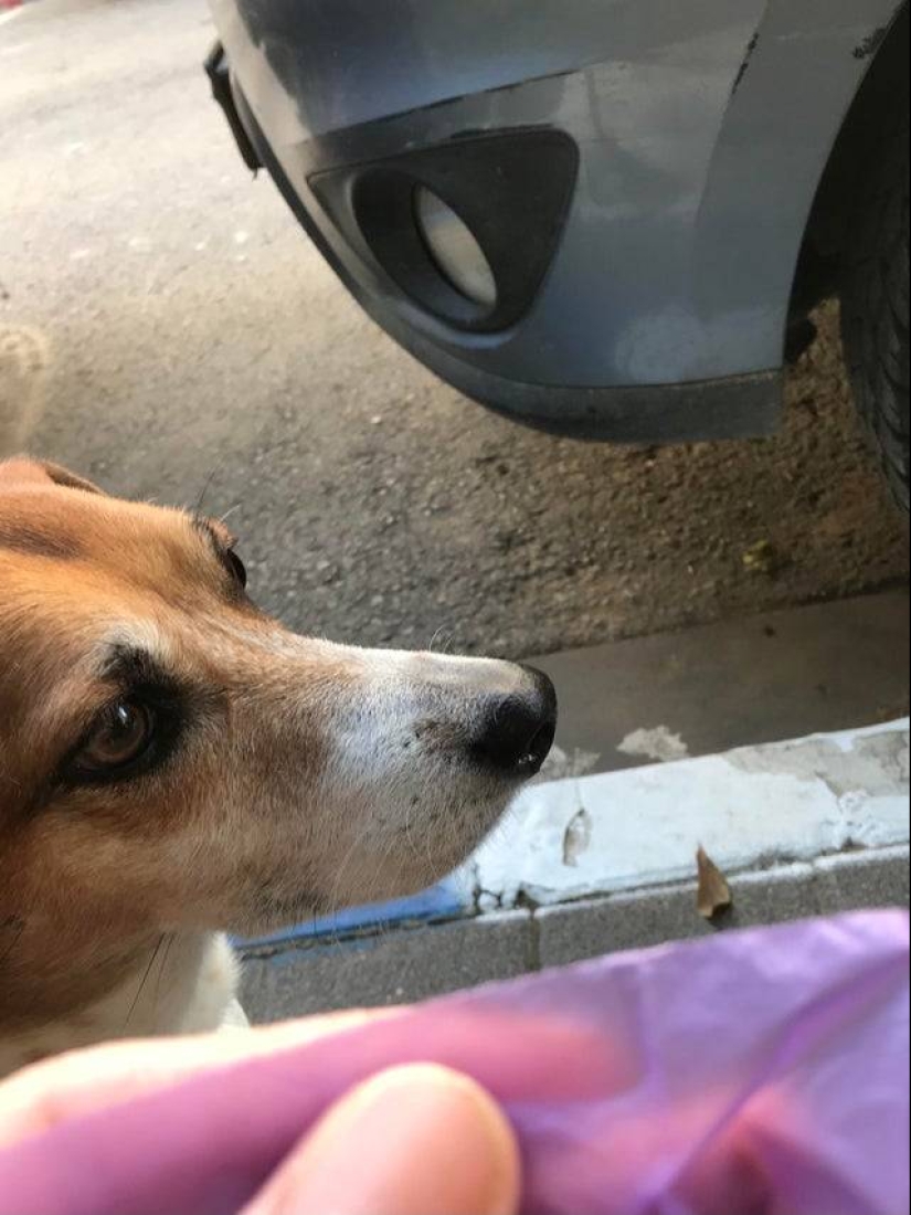 12 grandes hacks de la vida laboral que serán útiles en cualquier momento