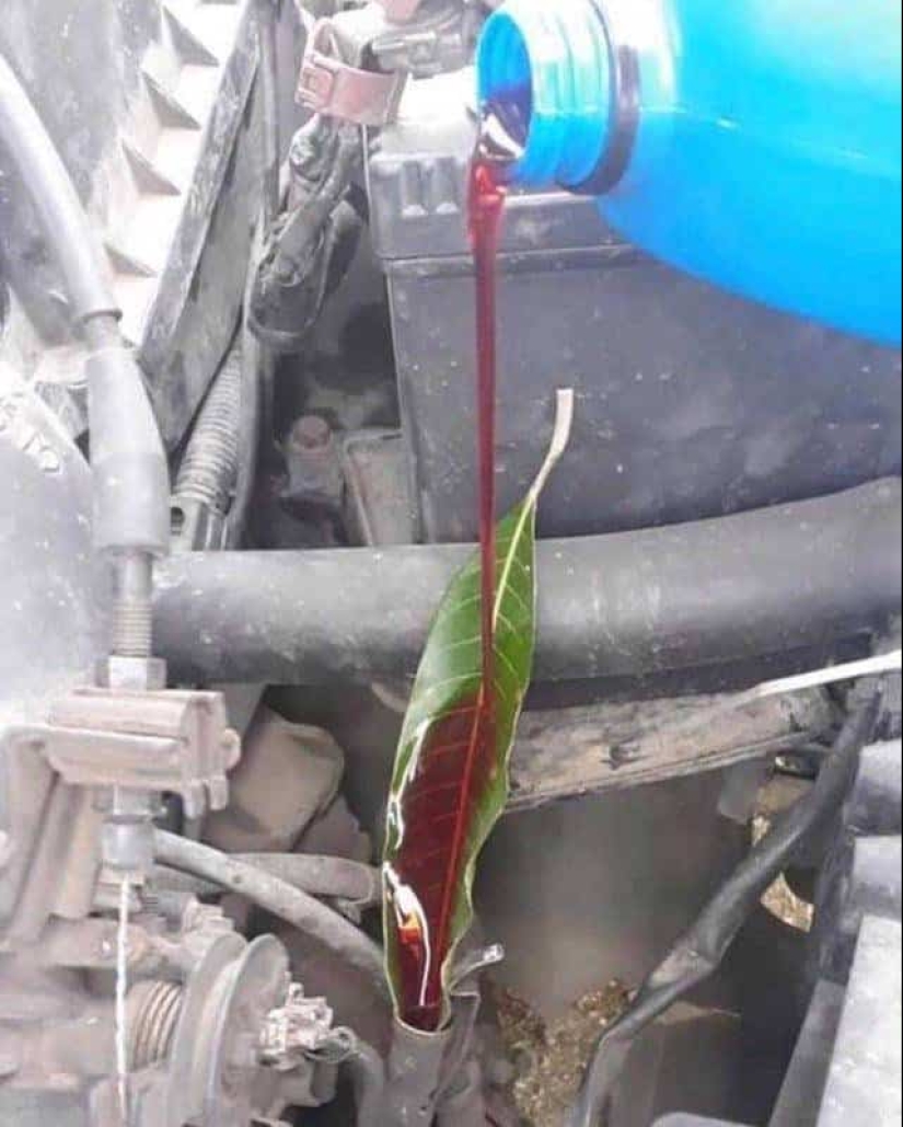 12 grandes hacks de la vida laboral que serán útiles en cualquier momento