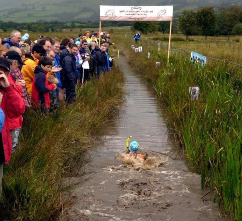 12 increíbles tradiciones inglesas que te sorprenderán