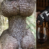 12 little-known names for things that everyone knows 12 little-known names for things that everyone knows