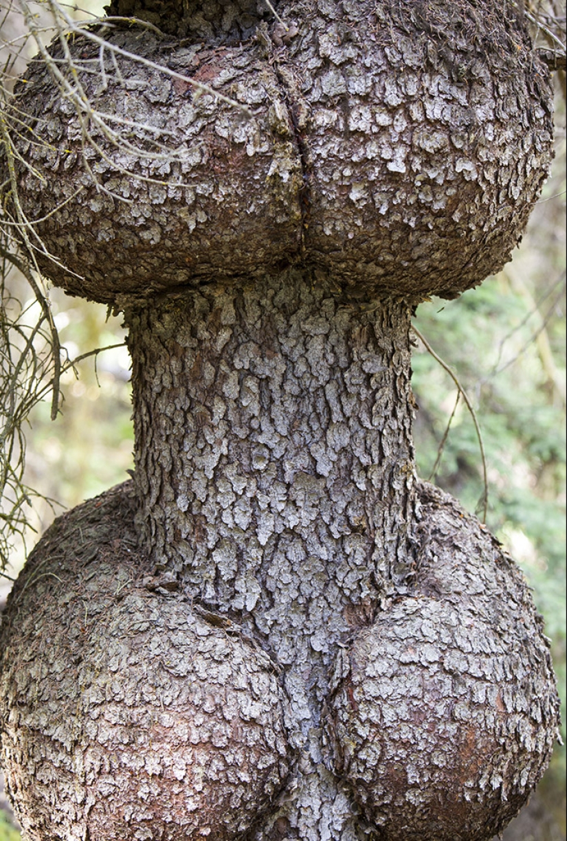 12 little-known names for things that everyone knows 12 little-known names for things that everyone knows