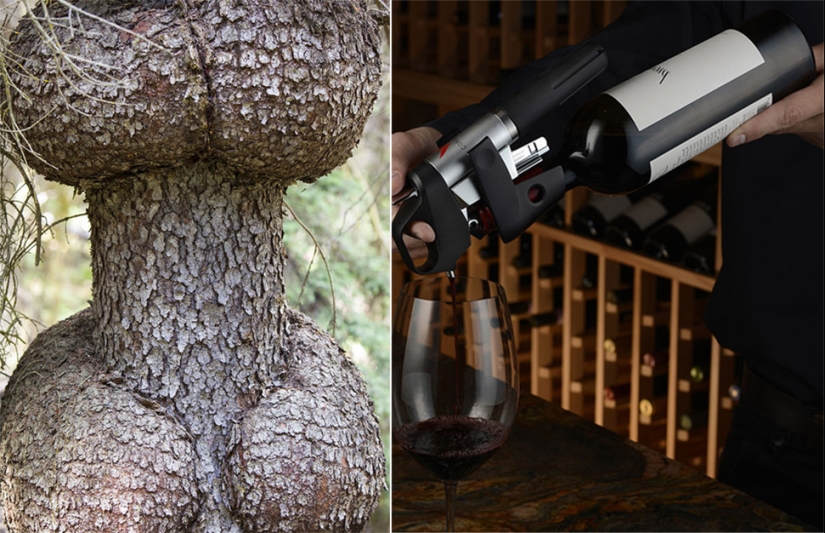 12 nombres poco conocidos para cosas que todo el mundo conoce 12 nombres poco conocidos para cosas que todo el mundo conoce