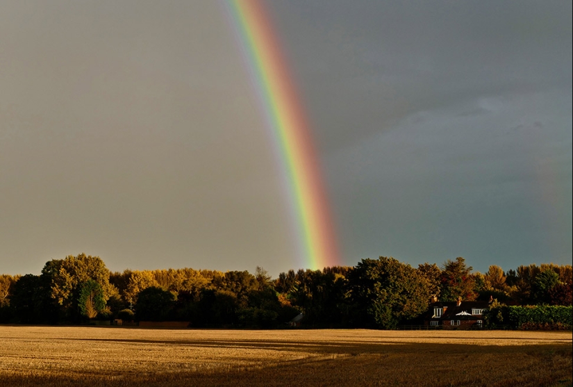 12 nombres poco conocidos para cosas que todo el mundo conoce 12 nombres poco conocidos para cosas que todo el mundo conoce