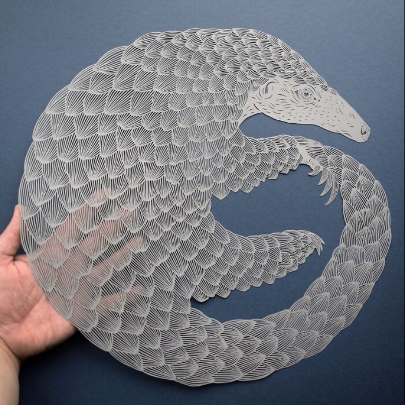 12 Pieces Of Beautiful Hand-Cut Paper Art With Nature Motifs By Pippa Dyrlaga