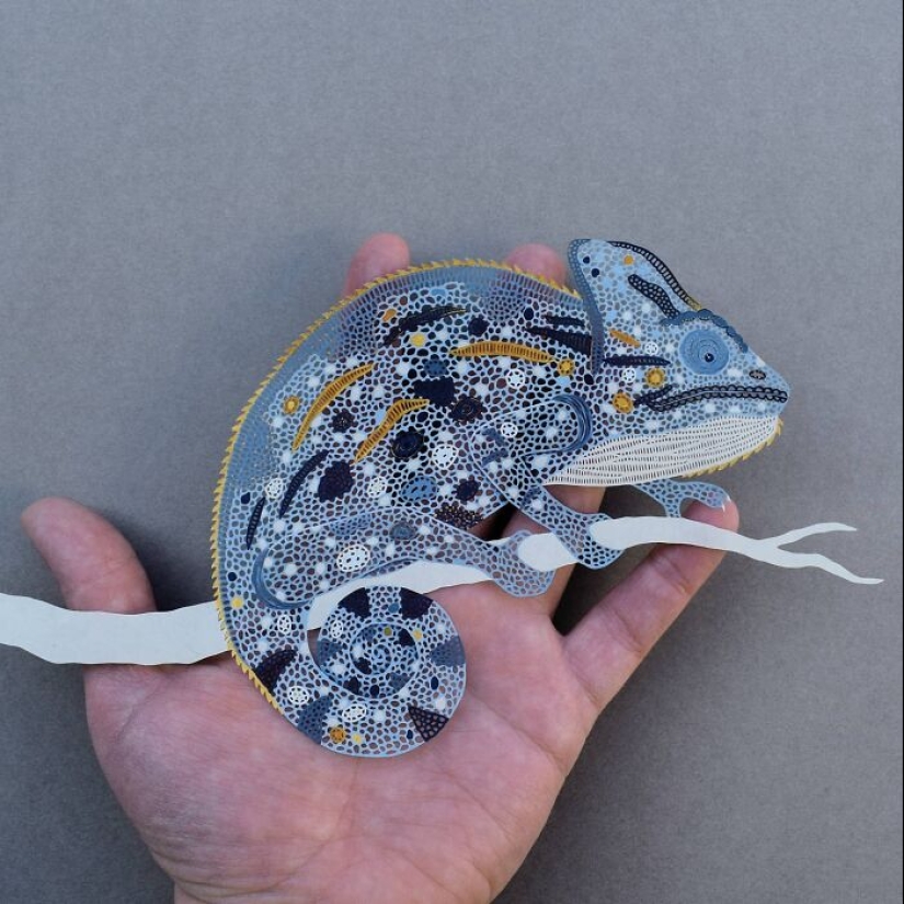 12 Pieces Of Beautiful Hand-Cut Paper Art With Nature Motifs By Pippa Dyrlaga