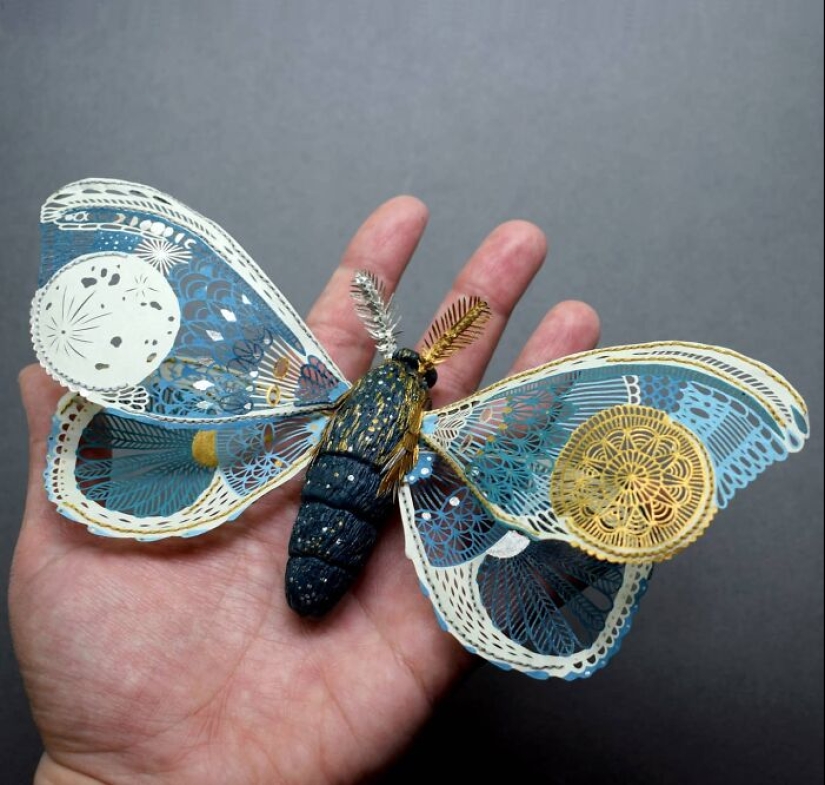 12 Pieces Of Beautiful Hand-Cut Paper Art With Nature Motifs By Pippa Dyrlaga