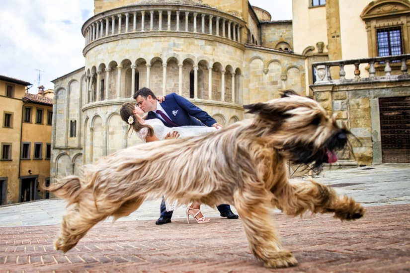 12 wedding photos that were ruined by some brute 12 wedding photos that were ruined by some brute