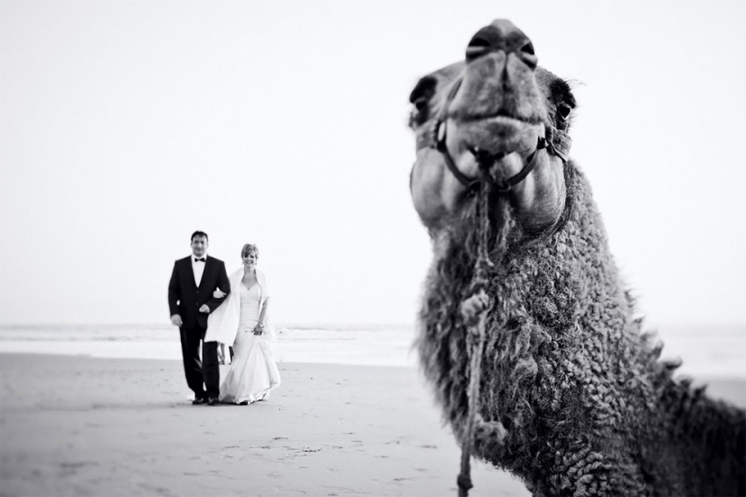 12 wedding photos that were ruined by some brute 12 wedding photos that were ruined by some brute