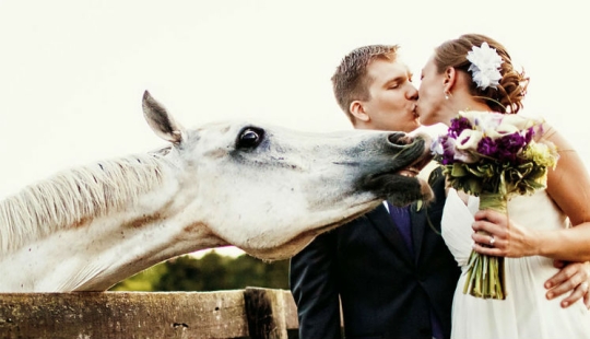 12 wedding photos that were ruined by some brute 12 wedding photos that were ruined by some brute