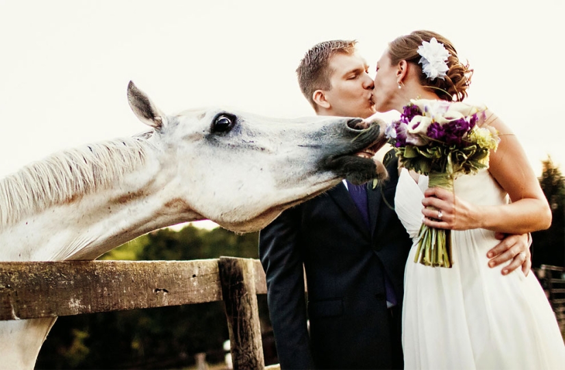 12 wedding photos that were ruined by some brute 12 wedding photos that were ruined by some brute