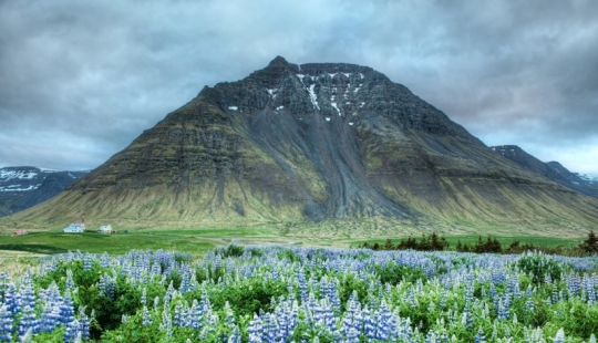 13 amazing facts about Iceland that You didn't even Know About 13 amazing facts about Iceland that You didn't even Know About