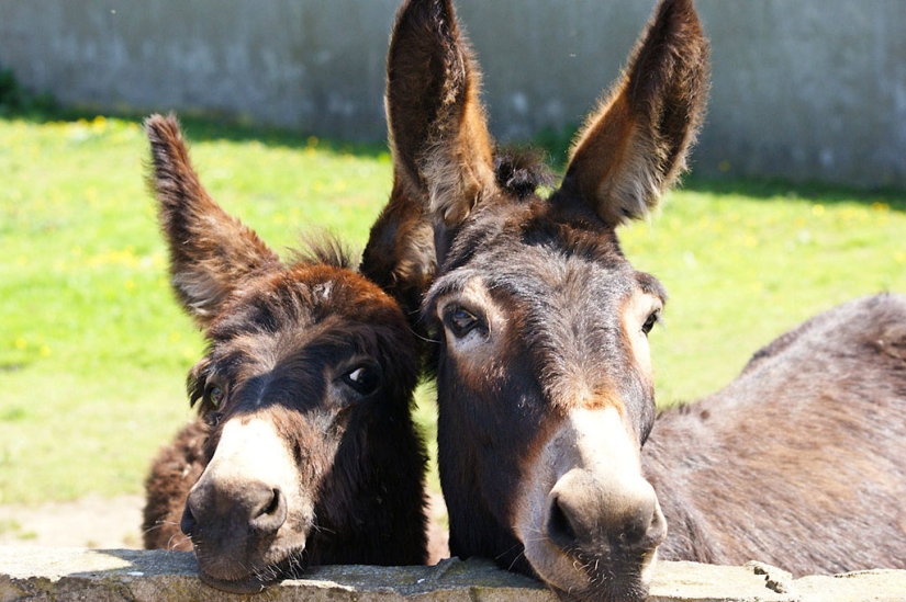 13 datos inspiradores sobre los aviones