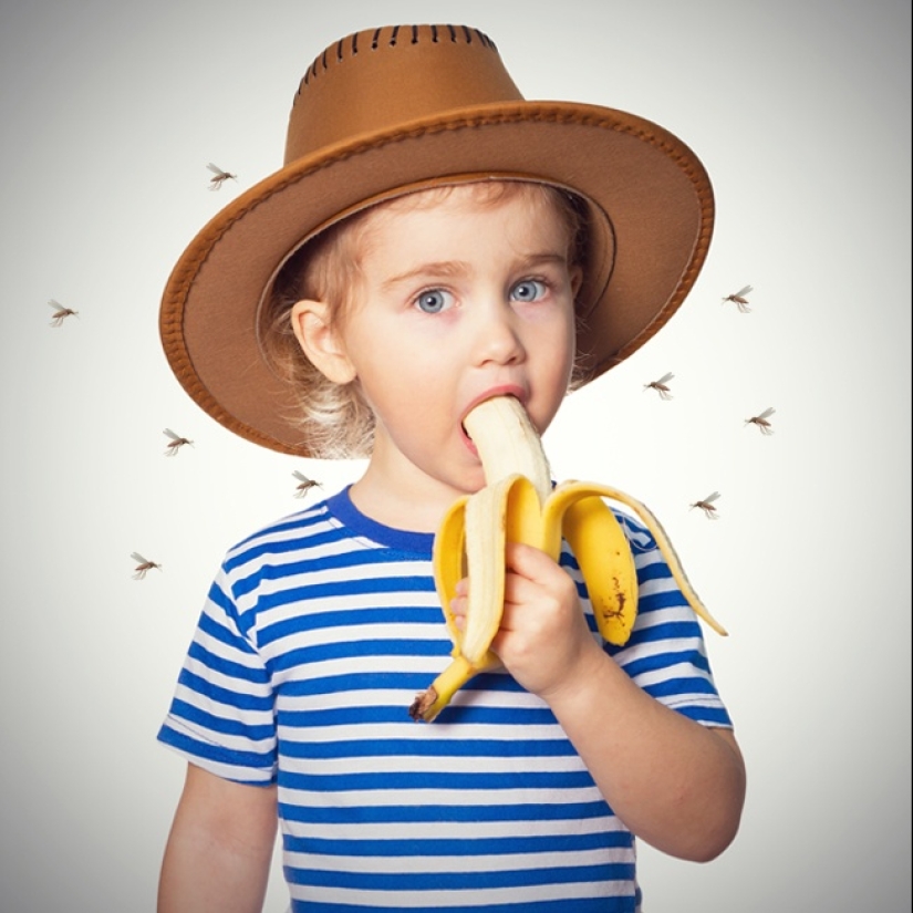 13 datos interesantes sobre la comida que definitivamente te sorprenderán 13 datos interesantes sobre la comida que definitivamente te sorprenderán