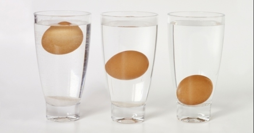 13 interesting facts about food that will definitely surprise you 13 interesting facts about food that will definitely surprise you