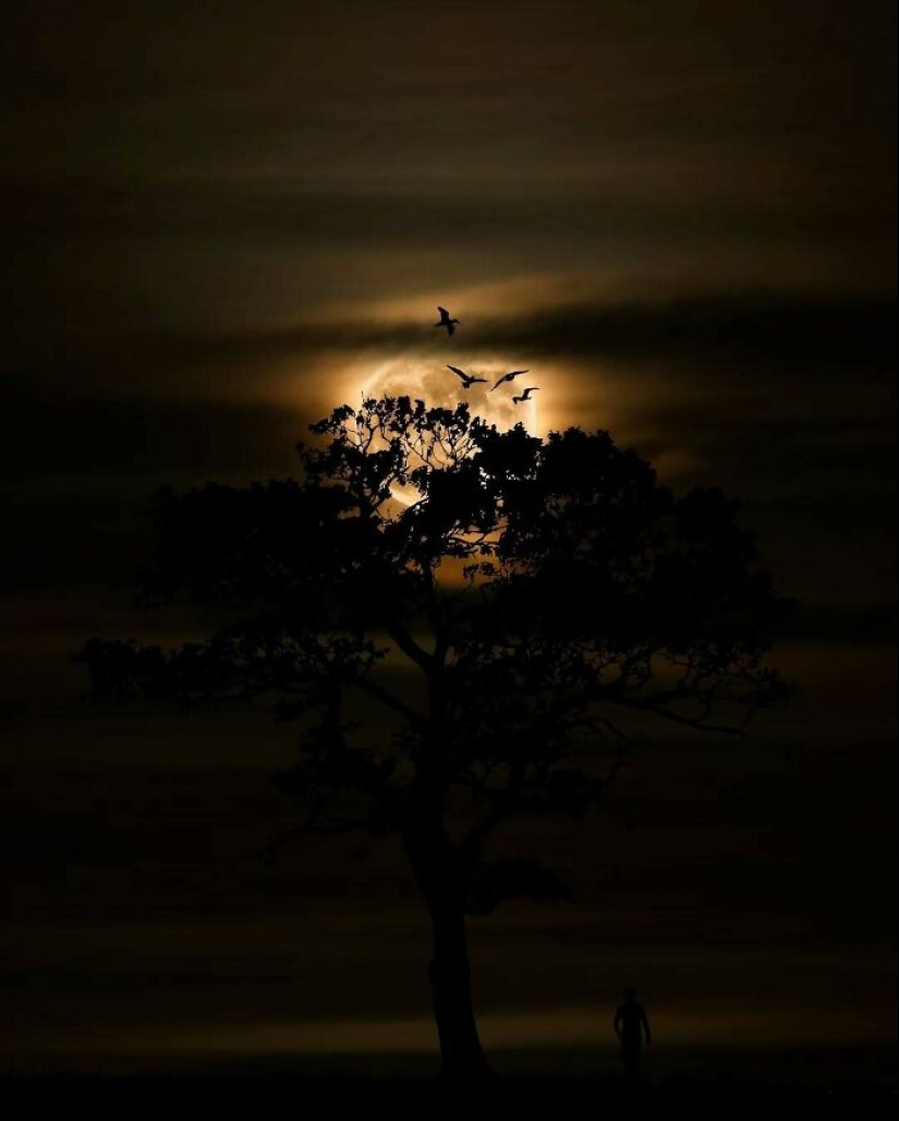 13 Meditative Photo Art Pieces Made By Benjamin Wolf