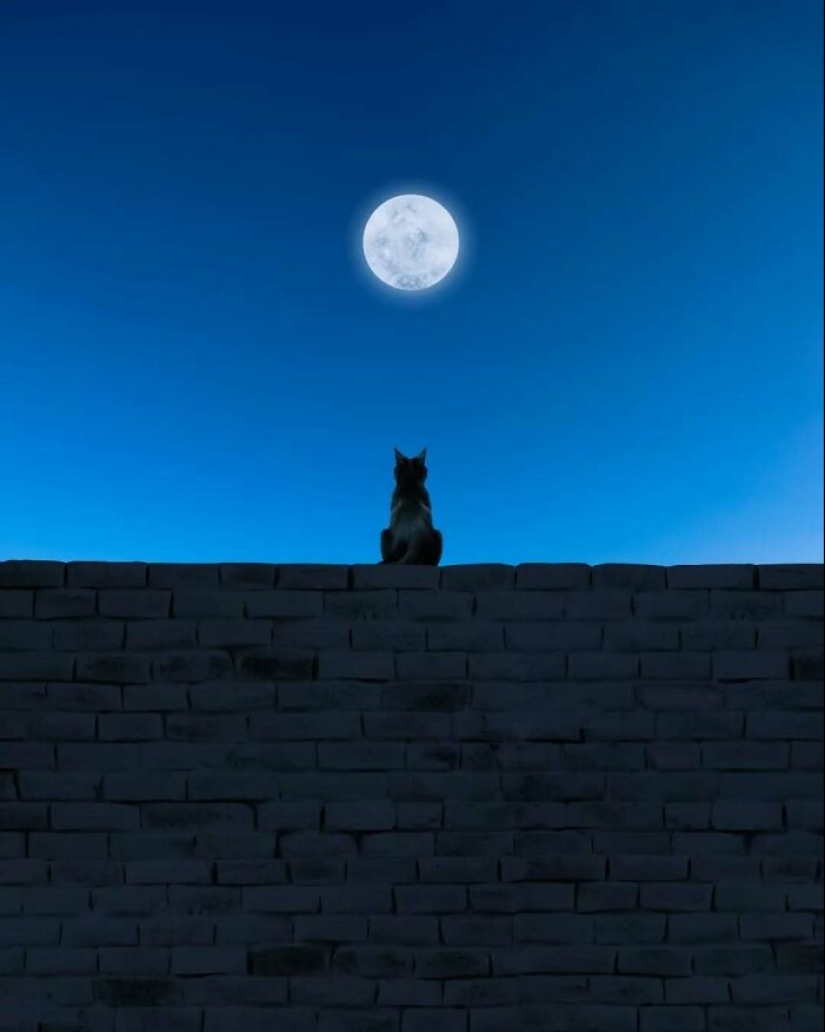 13 Meditative Photo Art Pieces Made By Benjamin Wolf