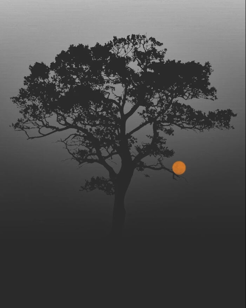 13 Meditative Photo Art Pieces Made By Benjamin Wolf