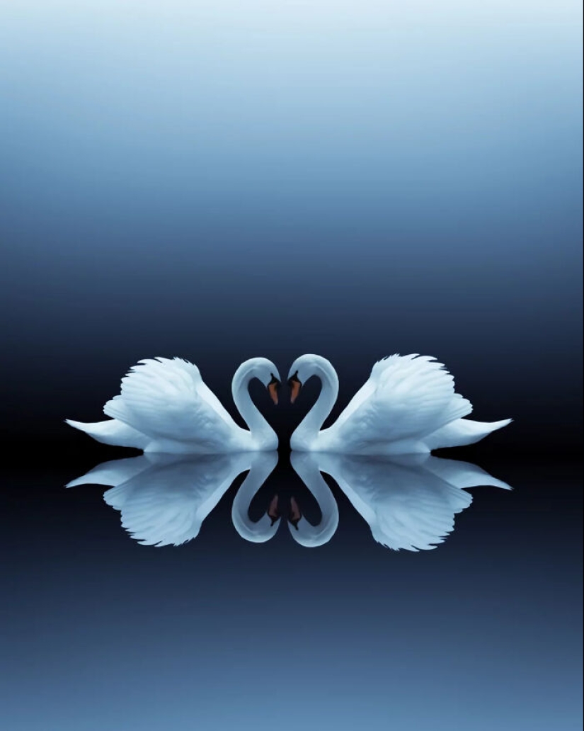 13 Meditative Photo Art Pieces Made By Benjamin Wolf