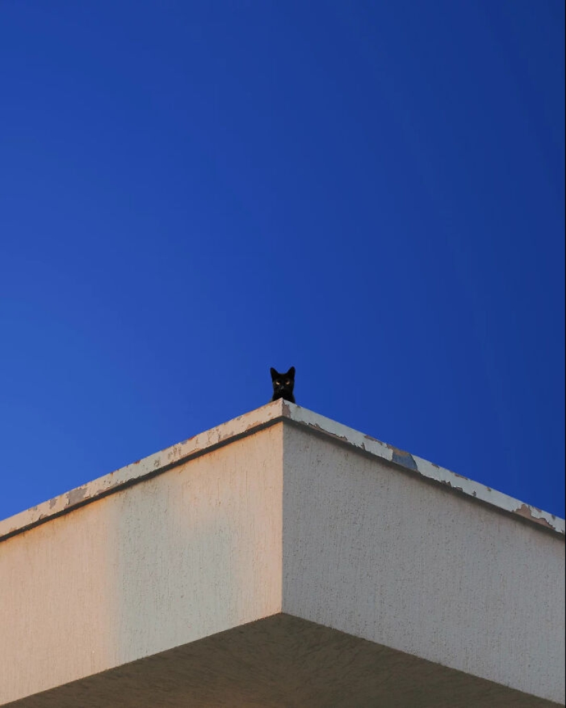 13 Meditative Photo Art Pieces Made By Benjamin Wolf