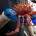 13 pruebas de que los monstruos existen y viven en Australia 13 pruebas de que los monstruos existen y viven en Australia