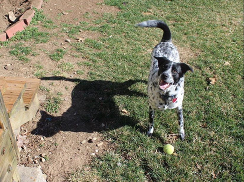 13 strange shadows that aren't what they seem