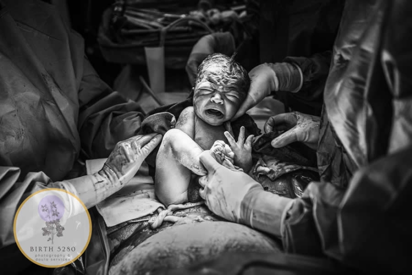 14 Heart-Touching Winning Photos from the 15th Annual Birth Photography Competition