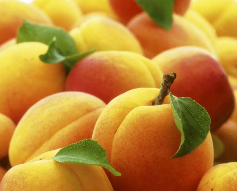 15 alimentos que usted puede comer, incluso en la noche