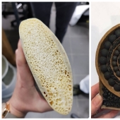 15 amazing photos of how some things look in the cross section 15 amazing photos of how some things look in the cross section