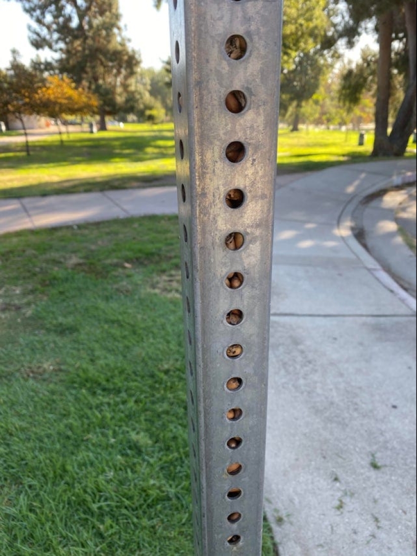 15 amazing situations when nature broke into civilization and began to dictate its rules 15 amazing situations when nature broke into civilization and began to dictate its rules