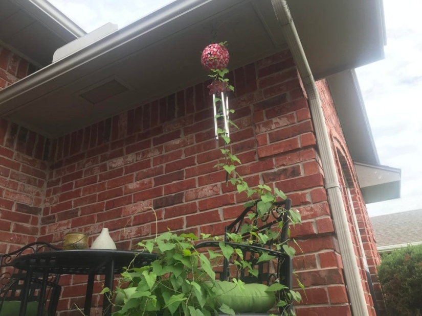 15 amazing situations when nature broke into civilization and began to dictate its rules 15 amazing situations when nature broke into civilization and began to dictate its rules