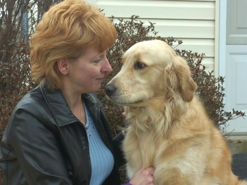 15 amazing stories of animal heroes who saved people from death