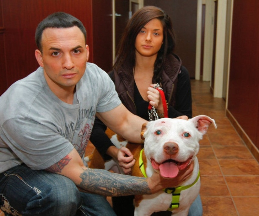 15 amazing stories of animal heroes who saved people from death