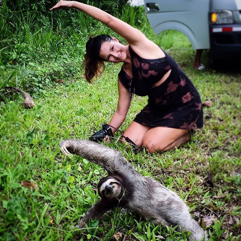 15 animales que hacen yoga más fresco que tú