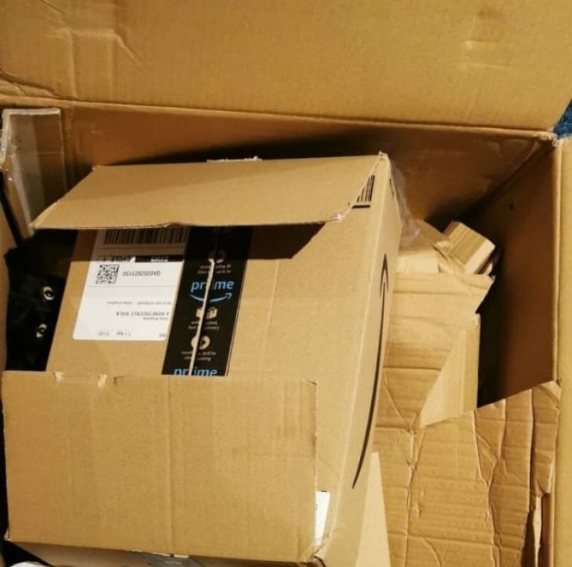 15 animales que pueden jugar al escondite mejor que muchas personas 15 animales que pueden jugar al escondite mejor que muchas personas