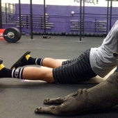 15 animals that do yoga cooler than you