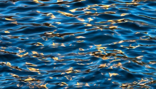 15 Breathtaking Photos Showcasing Nature’s Patterns And Textures By Michael Hindman 15 Breathtaking Photos Showcasing Nature’s Patterns And Textures By Michael Hindman