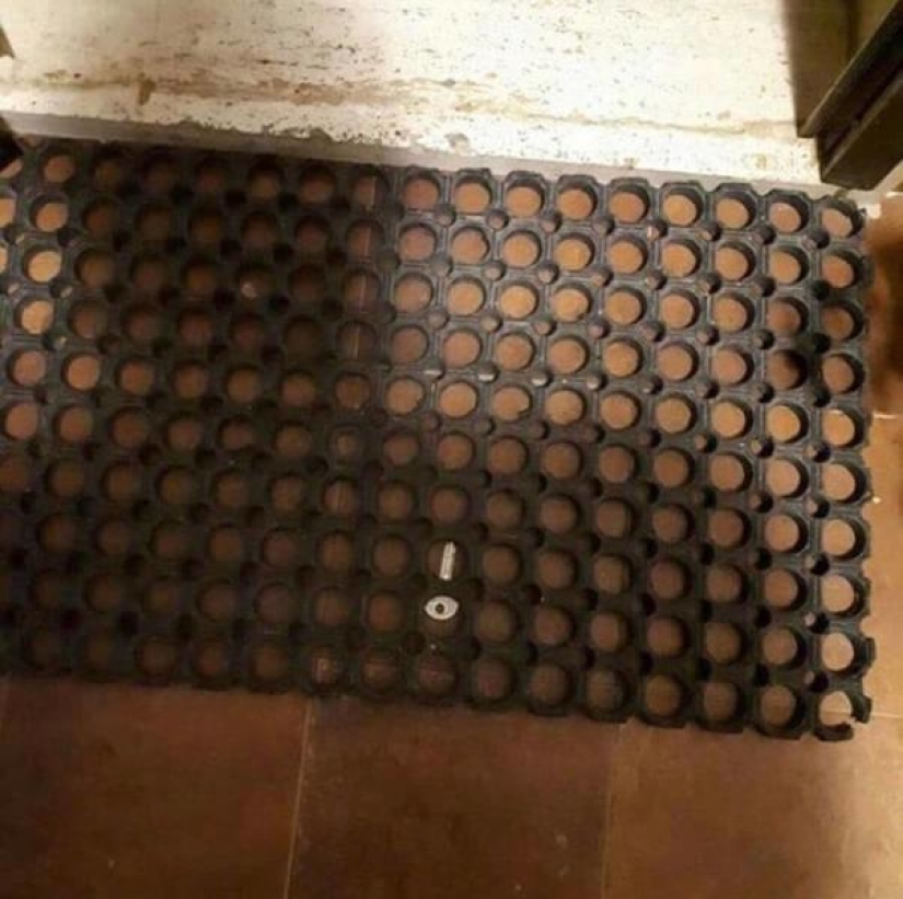 15 casos en que la gente ha cometido una estupidez digna de una broma