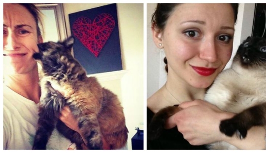 15 cats who hate selfies with people 15 cats who hate selfies with people