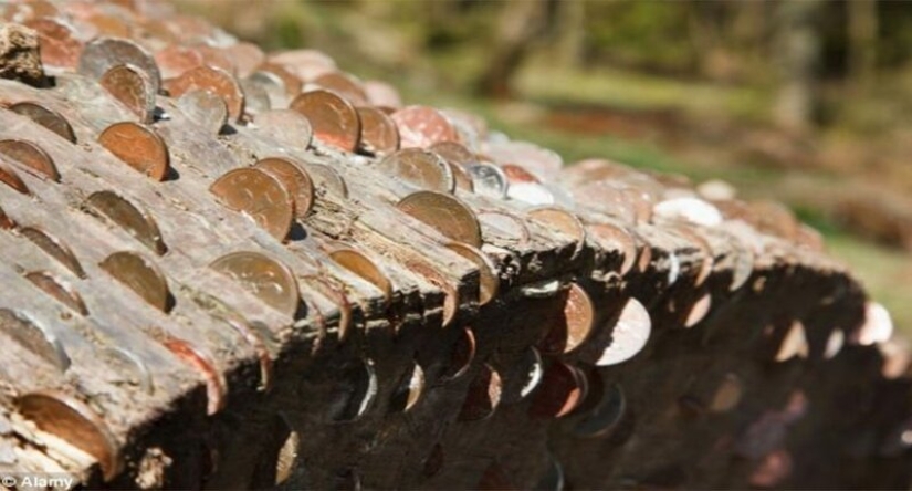 15 de la moneda de los árboles, o las pesadillas numismáticos