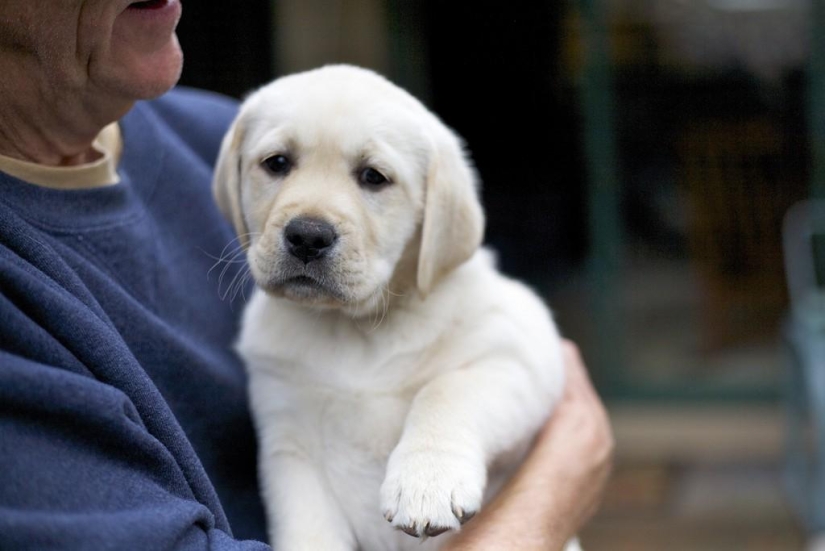 15 de la más inusual de los servicios de todo el mundo