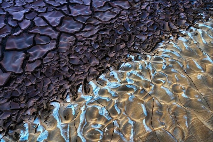 15 fotografías impresionantes que muestran los patrones y texturas de la naturaleza Por Michael Hindman