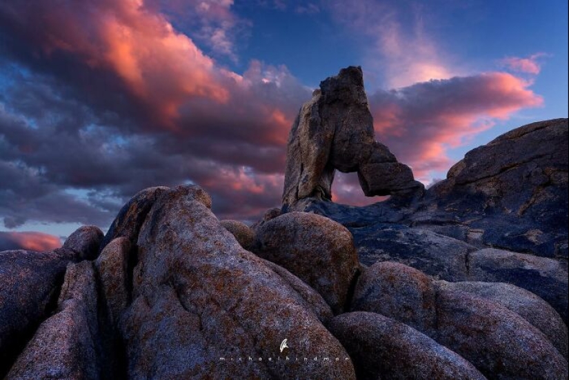 15 fotografías impresionantes que muestran los patrones y texturas de la naturaleza Por Michael Hindman